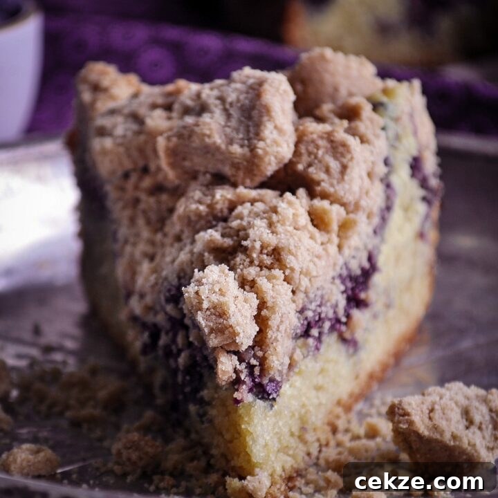 A slice of blueberry crumb cake on a tin plate.