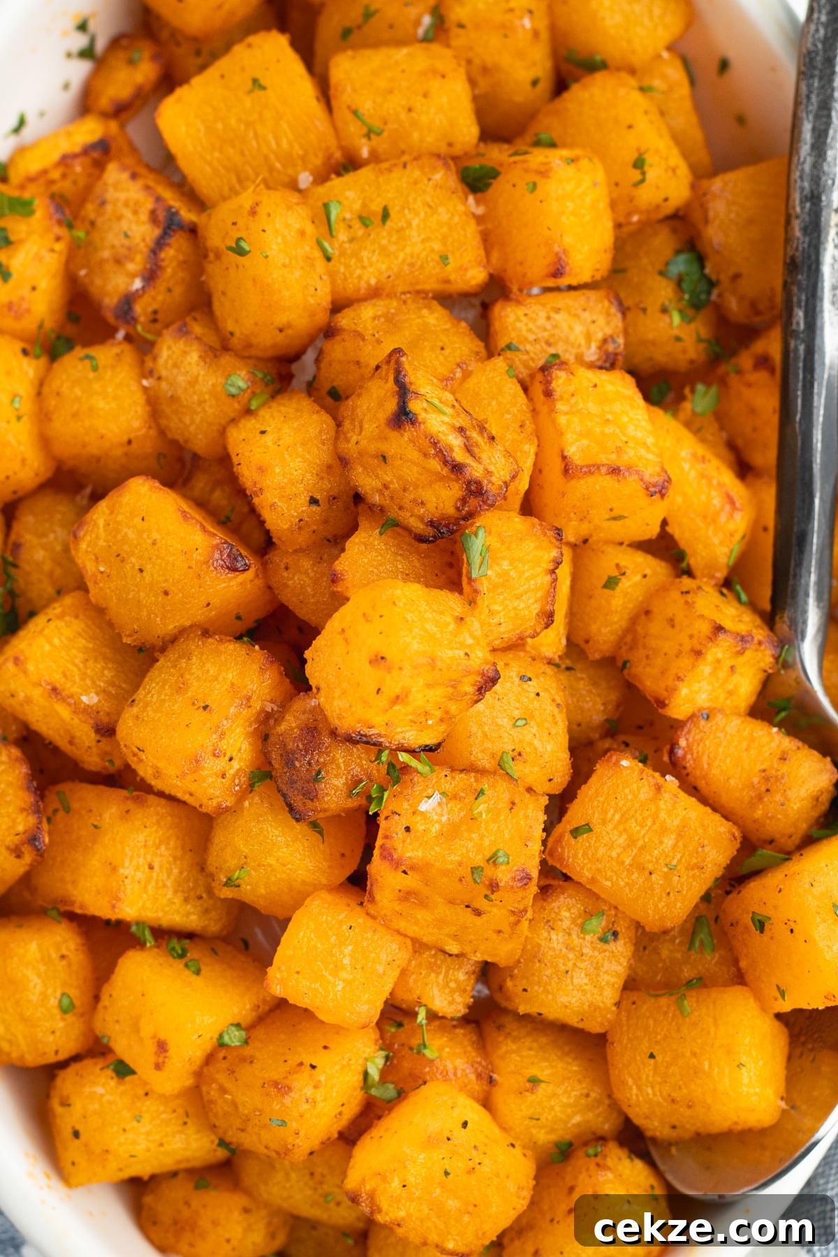This is a close-up picture of cooked squash. 