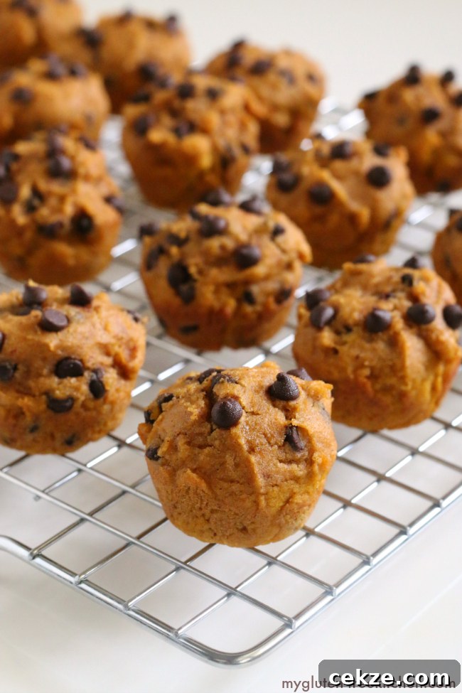 Gluten-Free Dairy-Free Pumpkin Chocolate Chip Mini Muffins 3 Gluten-free Dairy-free Pumpkin Chocolate Mini-Muffins recipe. Nut-free too!