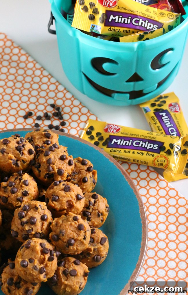 Gluten-Free Dairy-Free Pumpkin Chocolate Chip Mini Muffins 4 Allergy friendly Pumpkin Mini-Muffins Gluten-free, dairy-free, soy-free, nut-free recipe. They're delicious!