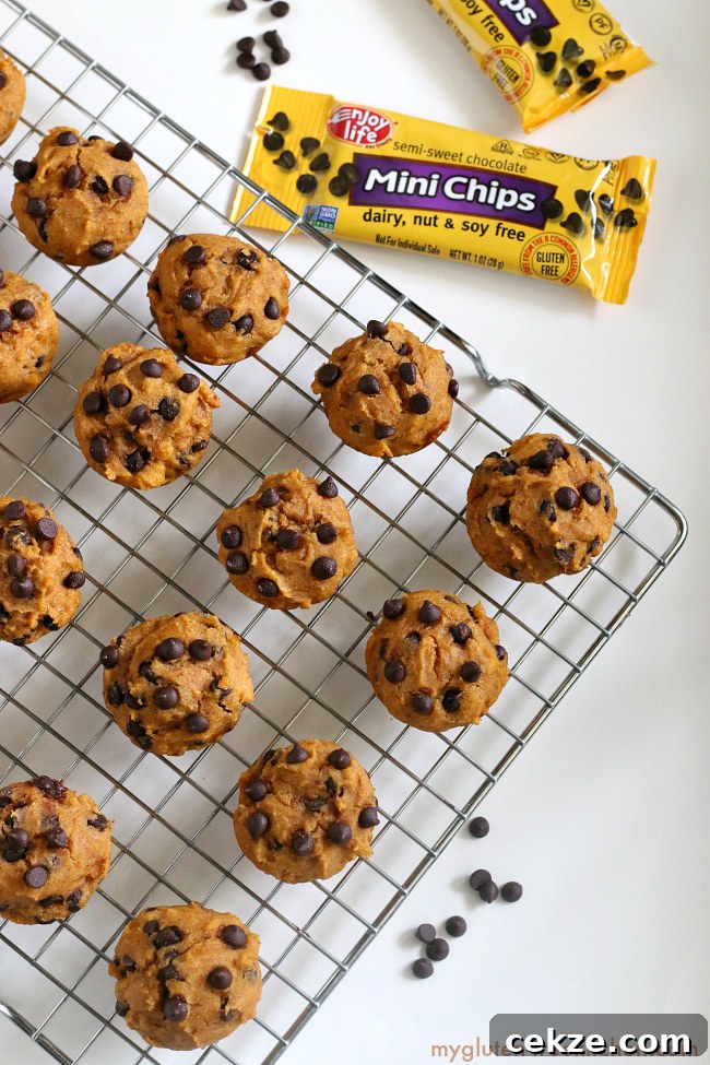 Gluten-Free Dairy-Free Pumpkin Chocolate Chip Mini Muffins 5 Allergy Friendly Pumpkin Chocolate Chip Mini-Muffins. Recipe free of gluten, dairy, soy, corn, and nuts!