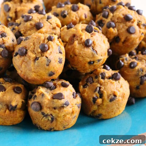 Gluten-free Dairy-free Pumpkin Chocolate Chip Mini-Muffins. Nut-free too!