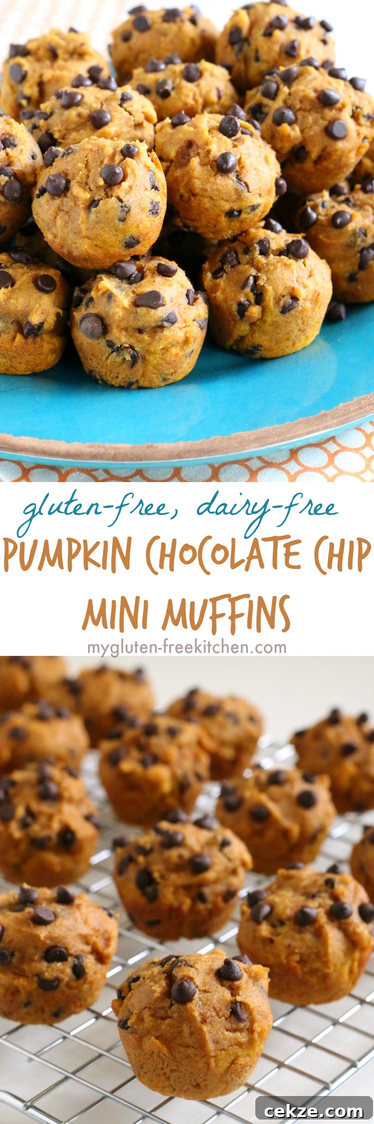 Gluten-Free Dairy-Free Pumpkin Chocolate Chip Mini Muffins 8 Gluten-free Dairy-free Pumpkin Muffins with Chocolate Chips. Easy, freezer friendly recipe that's nut-free too!