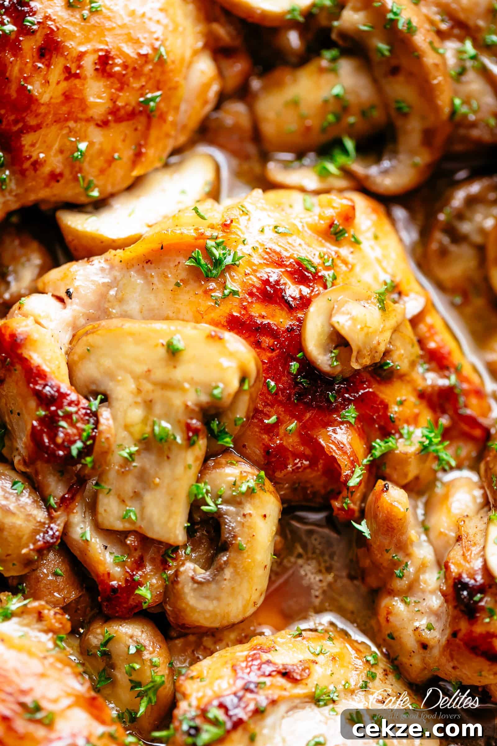 Golden seared Garlic Mushroom Chicken Thighs in a delicious, buttery sauce with a sprinkle of herbs 