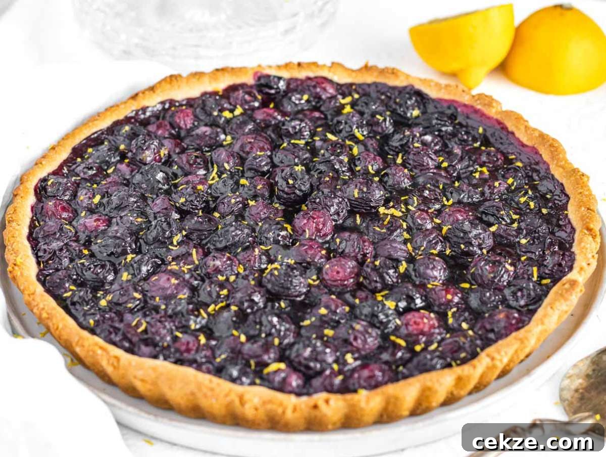 Baked blueberry tart with lemon zest on top.