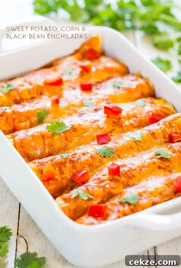 Sweet Potato, Corn & Black Bean Enchiladas in a baking dish.