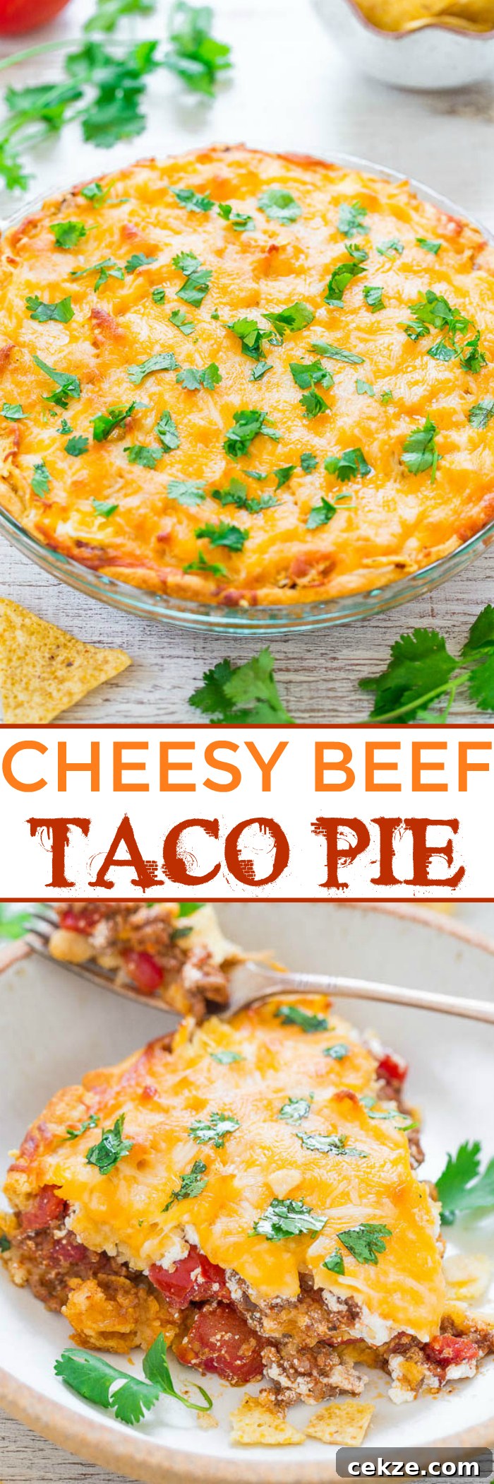A layered beef taco pie with melted cheese and garnished with fresh herbs.