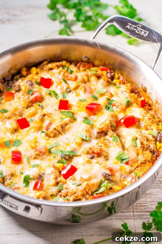 Cheesy Chicken Enchilada Quinoa in a pot.