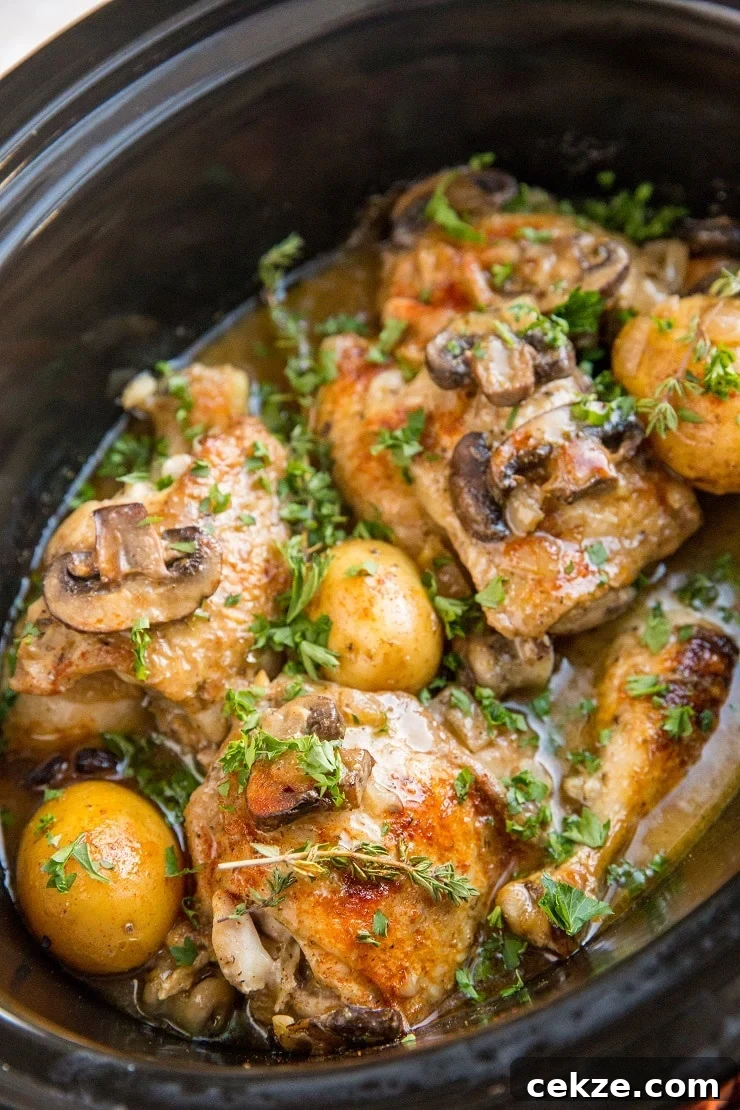 Top Chicken Thigh Recipes for Flavorful Weeknight Dinners 27 Crock Pot Creamy Mushroom Chicken with Potatoes