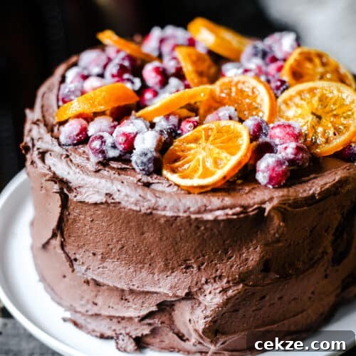 Chocolate Cranberry Clementine Cake on a white plate on a wooden board