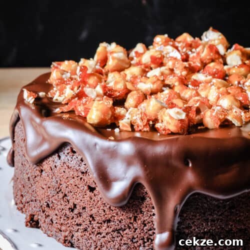 Decadent Chocolate Hazelnut Cake {gluten-free}