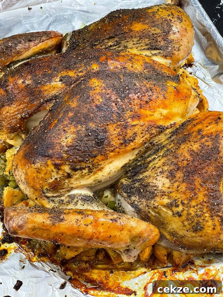 Oven-roasted spatchcock turkey resting on the cooked stuffing.