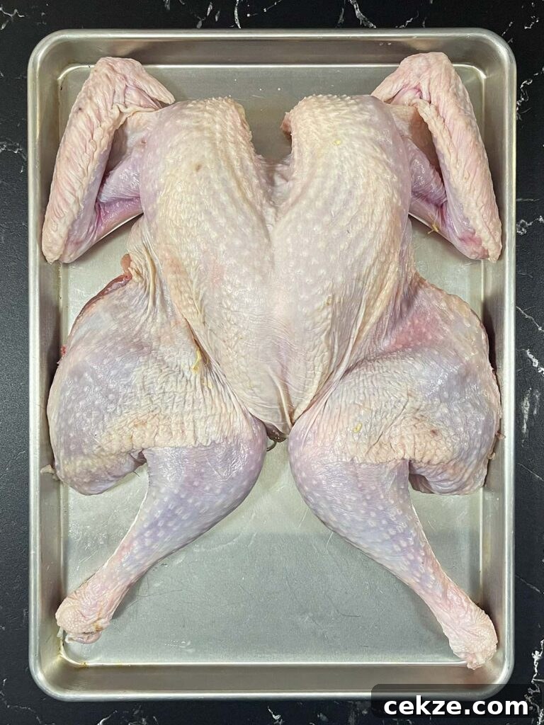 Spatchcocked turkey laid flat on a baking sheet with the backbone removed.