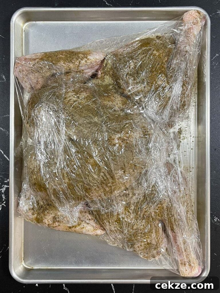 Turkey coated in dry brine seasoning and ready for the refrigerator.