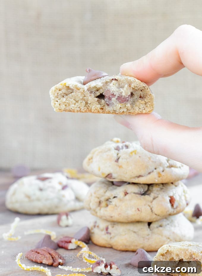 Soft, chewy cinnamon milk chocolate chip cookies with toasted pecans and candied orange peel. These Orange Pecan Milk Chocolate Chip cookies will have you reaching for another before you realize what you’re doing!