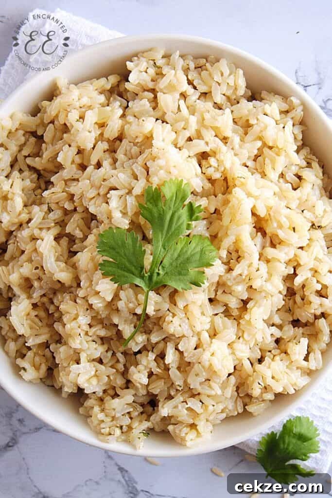 Instant Pot Brown Rice Recipe