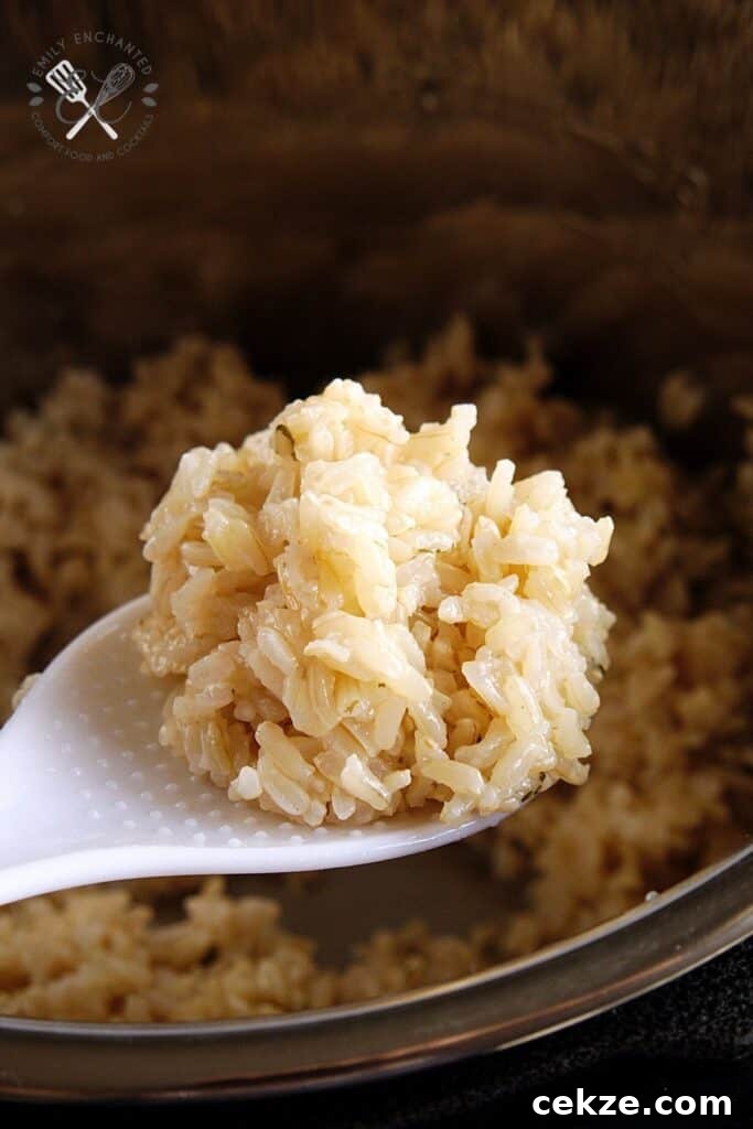 Instant Pot Brown Jasmine Rice
