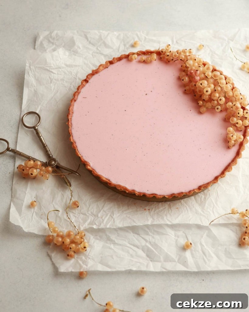 Red Currant-Vanilla Panna Cotta Tart