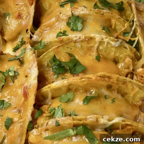 Baked Chicken Tacos
