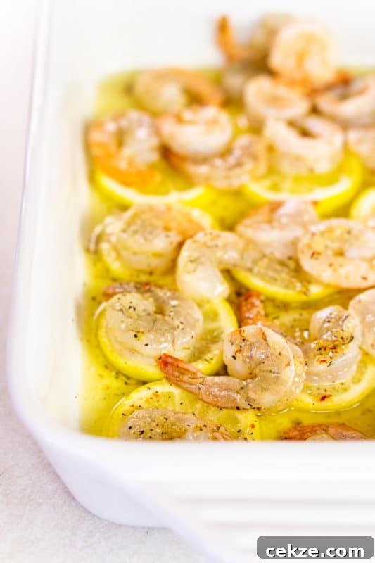 Garlic Butter Lemon Shrimp Recipe with Garlic-Parsley Sauce 8 Seasoned shrimp on lemon slices in melted butter in an oven safe dish.