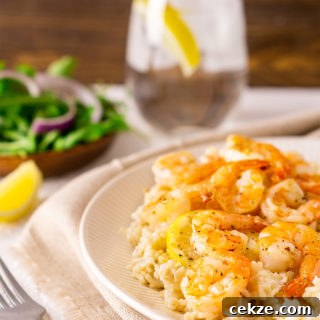 Lemon Butter Shrimp served over a bed of rice, side salad on table.