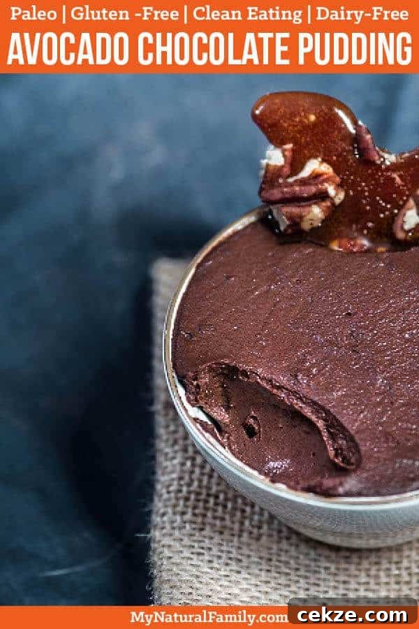 5-Ingredient Paleo Avocado Chocolate Pudding Recipe 2 5-Ingredient Paleo Avocado Chocolate Pudding Recipe {Gluten-Free, Clean Eating, Dairy-Free}