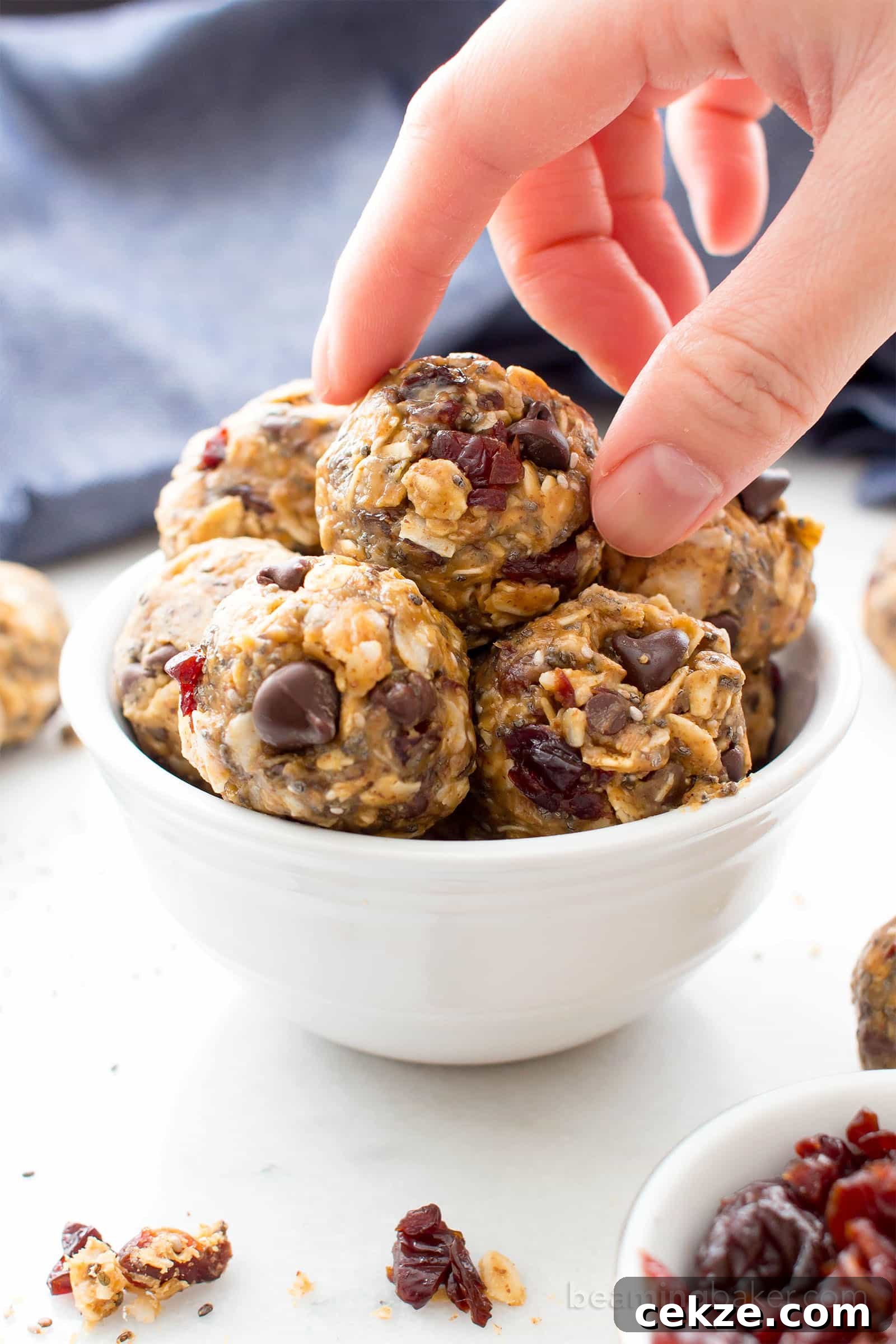 No Bake Cherry Chocolate Chip Chia Energy Bites (V, GF): a one bowl recipe for sweetly tart cherry chocolate chip energy bites packed with whole ingredient, energy-boosting yum! #Vegan #GlutenFree #OneBowl #ProteinRich | BeamingBaker.com