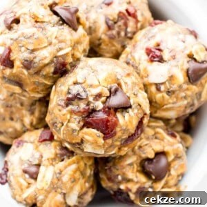 No Bake Cherry Chocolate Chip Chia Energy Bites (V, GF): a one bowl recipe for sweetly tart cherry chocolate chip energy bites packed with whole ingredient, energy-boosting yum! #Vegan #GlutenFree #OneBowl #ProteinRich | BeamingBaker.com