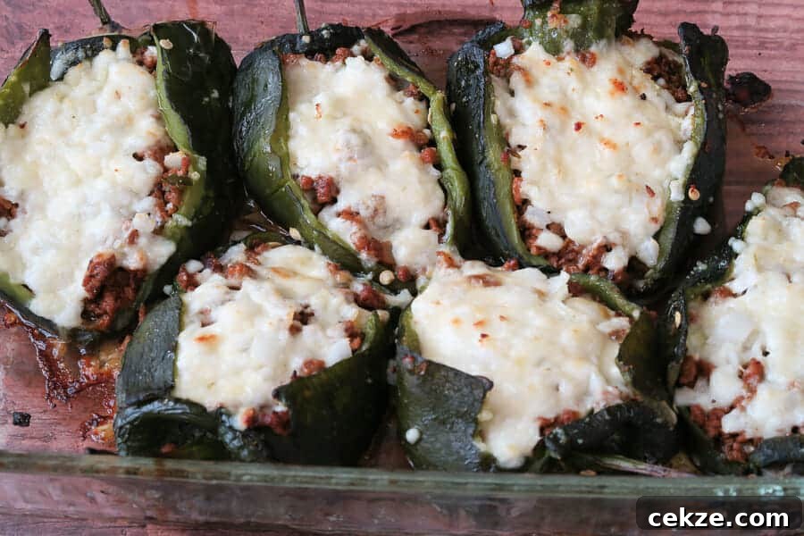 a tray of Easy Healthy Chile Rellenos baked with turkey taco meat 
