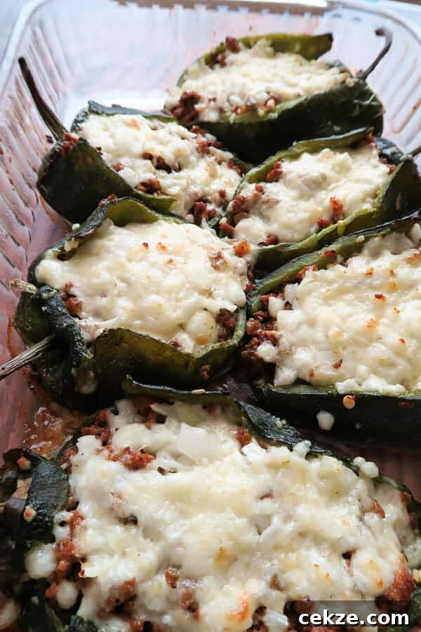 a tray of Easy Healthy Chile Rellenos baked with turkey taco meat 