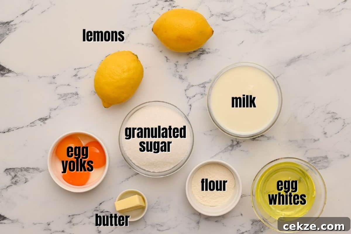 Ingredients for baked lemon pudding labeled on counter.