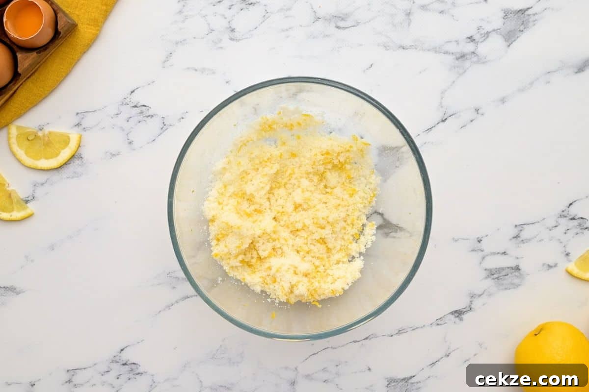 Lemon zest and granulated sugar mixed together.