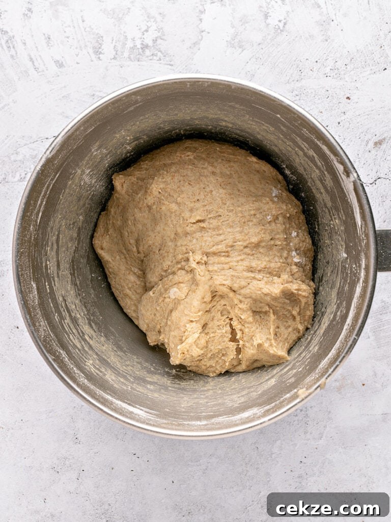 Homestyle Whole Wheat Sandwich Bread Recipe for Families 6 Stand mixer bowl with whole wheat bread dough. Light gray surface.