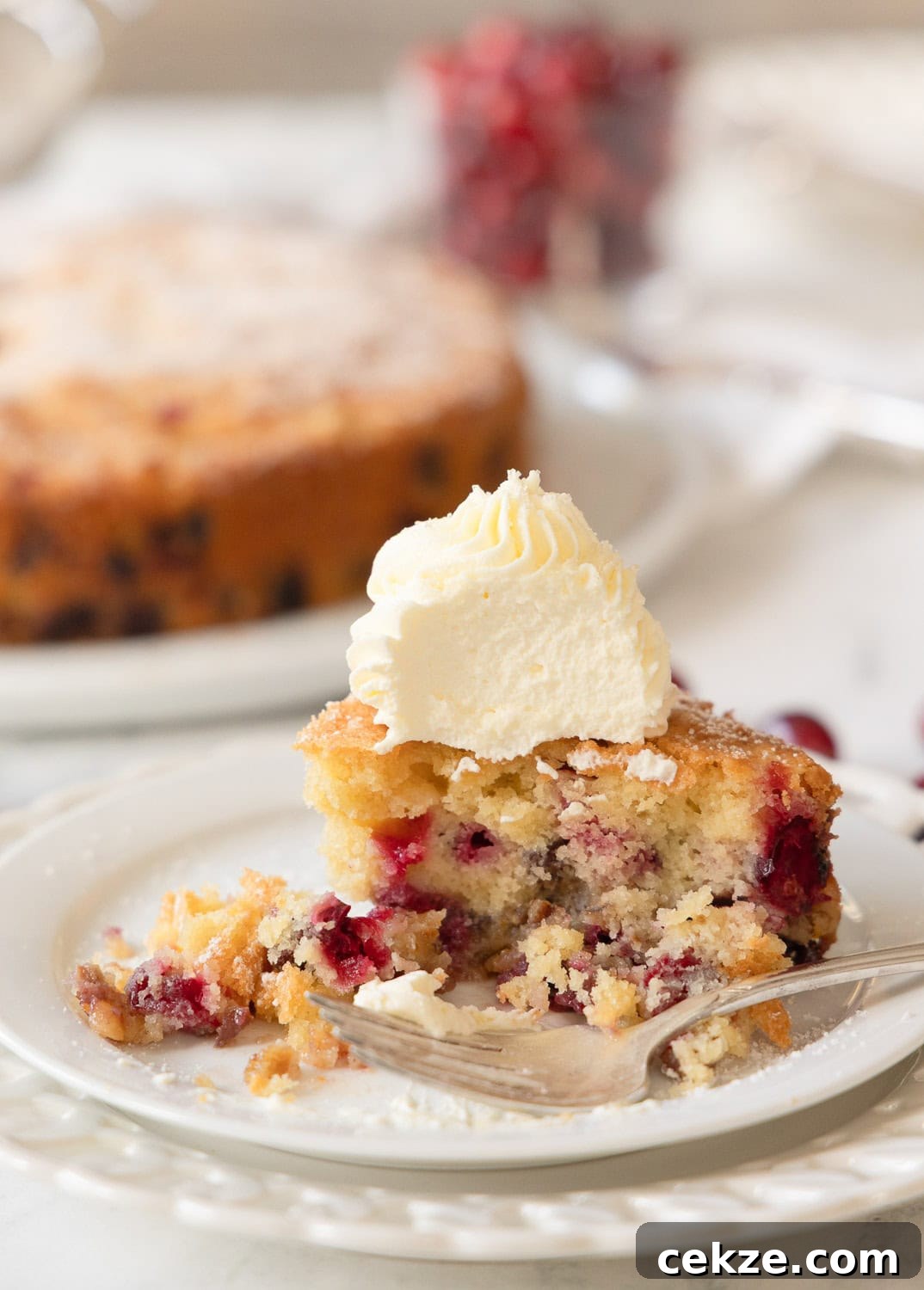 A slice of cranberry nantucket pie with stiff whipped cream on top, with a silver fork on a plate.