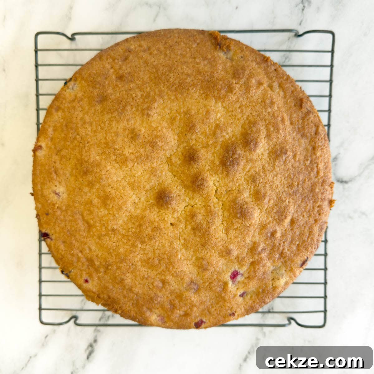 A golden baked cranberry nantucket pie on a cooling rack on the counter.