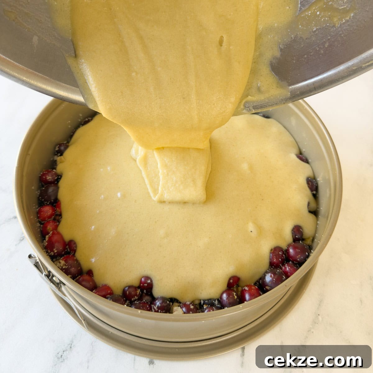 Pouring a thick cake better over the top of fresh cranberries, sugar, and nuts for a cranberry cake.