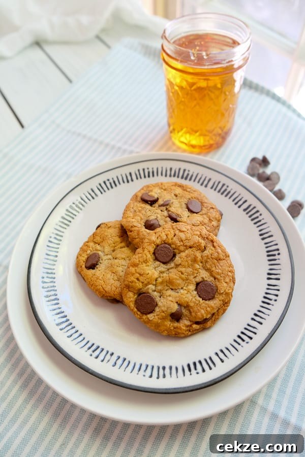 Golden syrup cookies with chocolate chips
