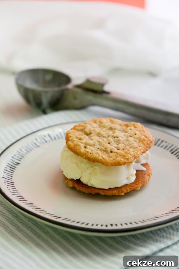 Cookie ice cream sandwich