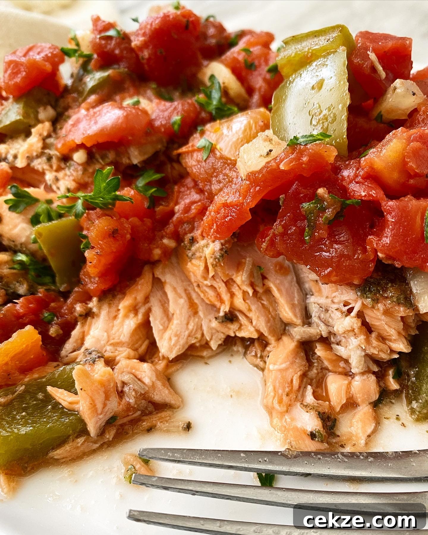 Mediterranean Slow Cooker Salmon with Lemon and Herbs 7 close up Mediterranean Salmon on a white plate