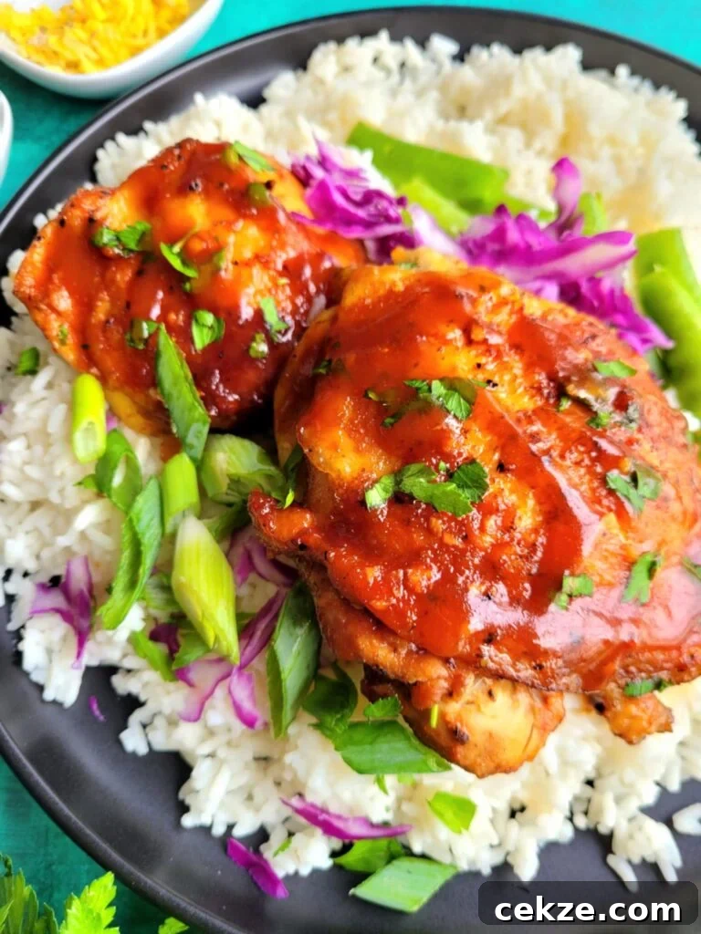asian chicken thighs and rice