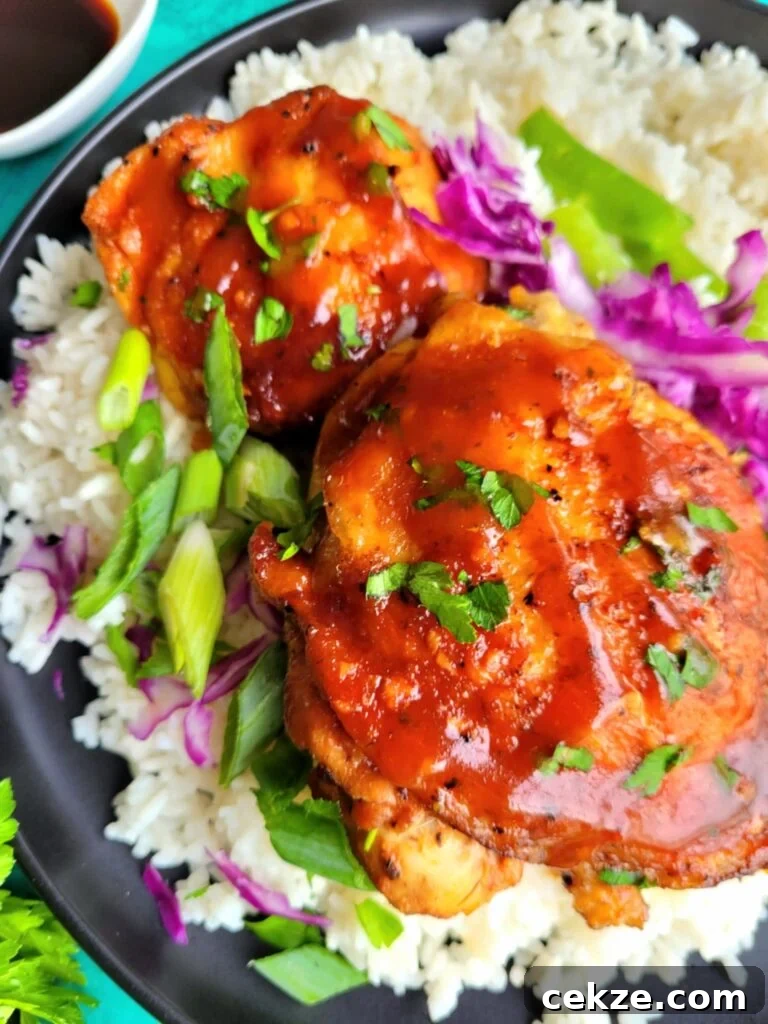plate of asian inspired chicken thighs over rice