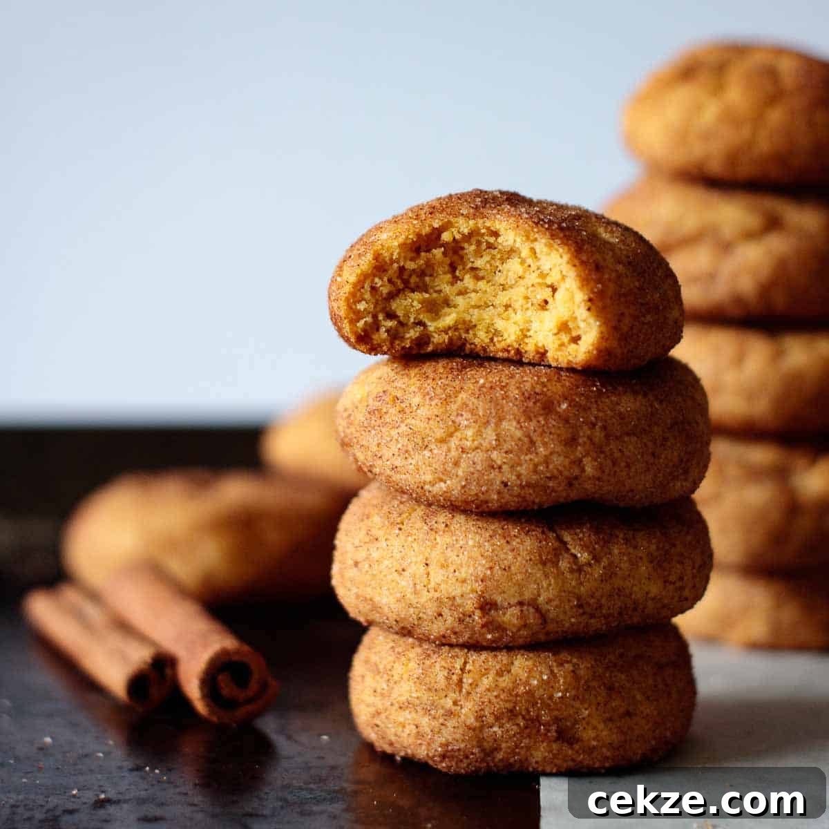 Image for Pumpkin Snickerdoodles 