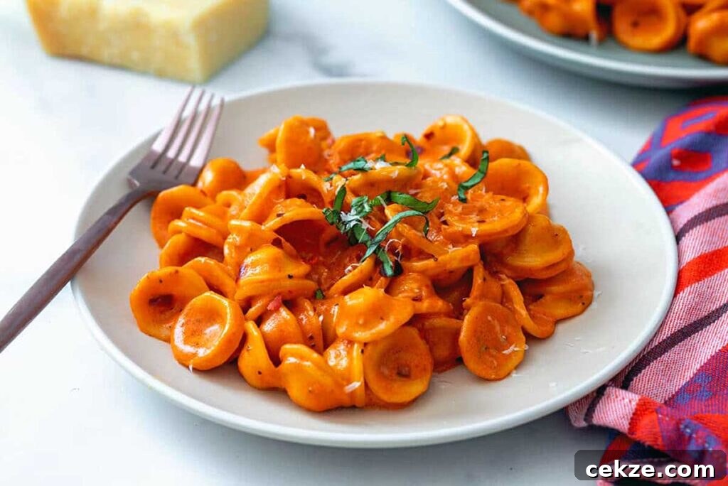 49 TikTok Recipes That Truly Live Up to the Hype 44 A plate of spicy vodka pasta inspired by the tiktok gigi hadid recipe