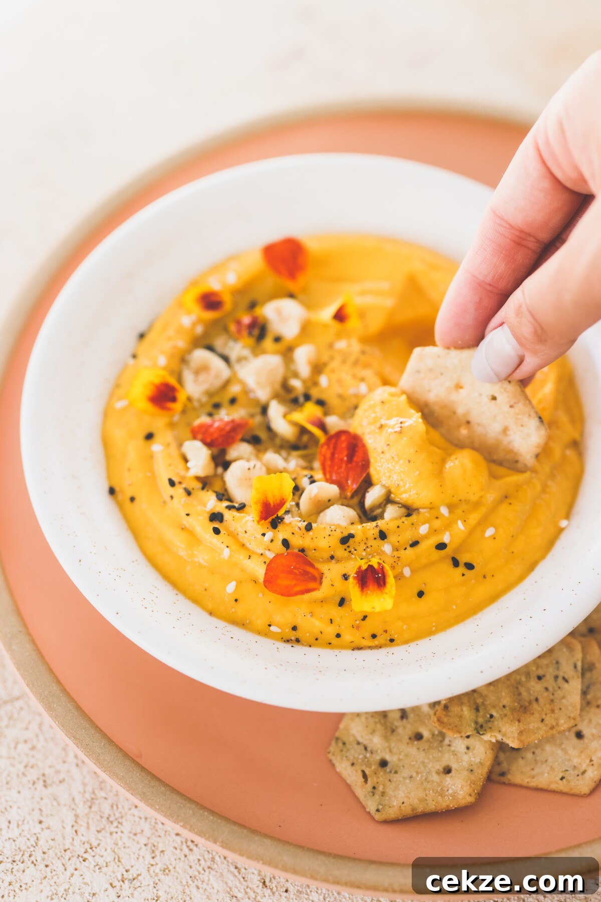 Roasted Butternut Squash Dip Recipe with Garlic and Herbs 2 a hand dipping a cracker into dip