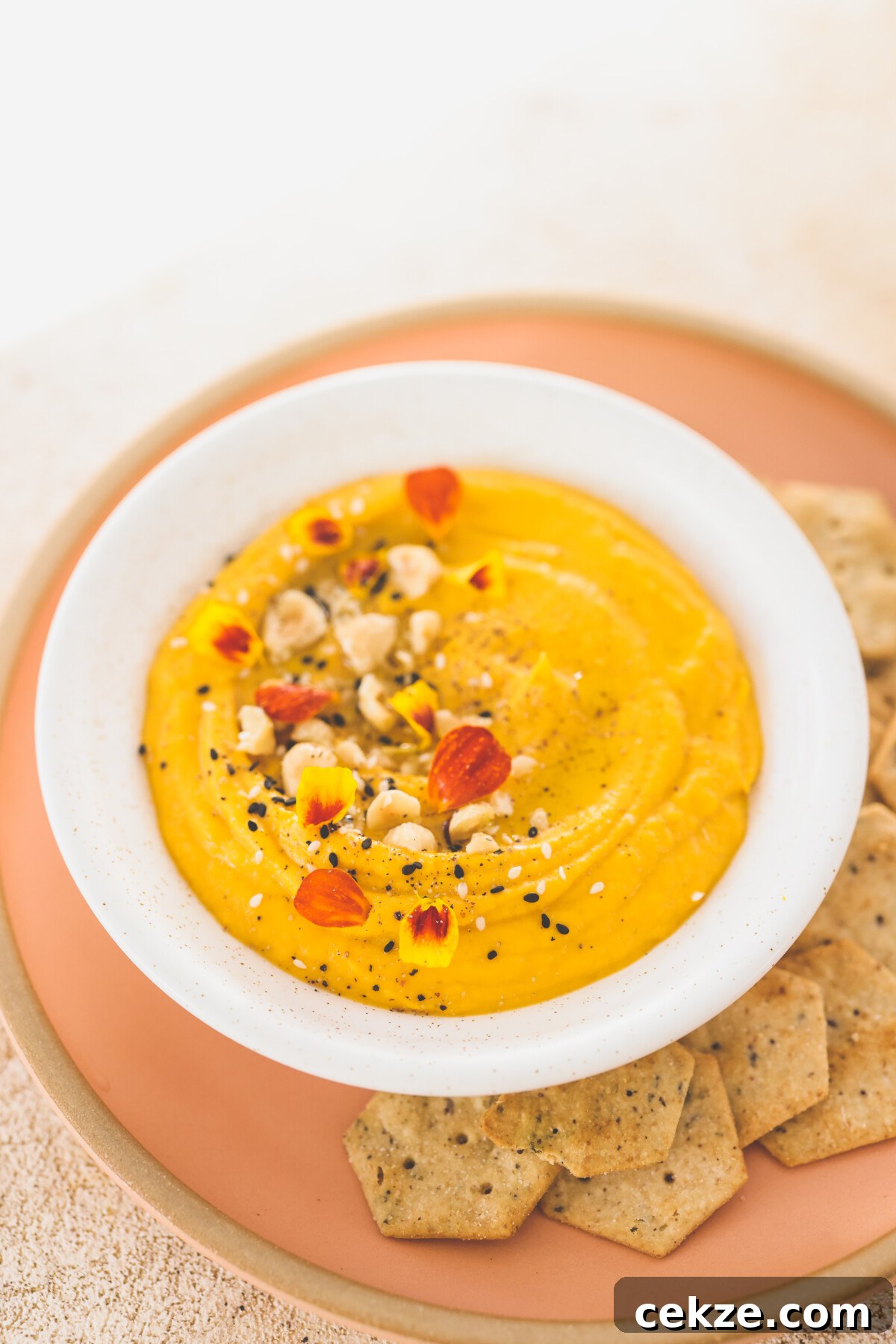 Roasted Butternut Squash Dip Recipe with Garlic and Herbs 3 butternut squash dip in a white bowl with crackers