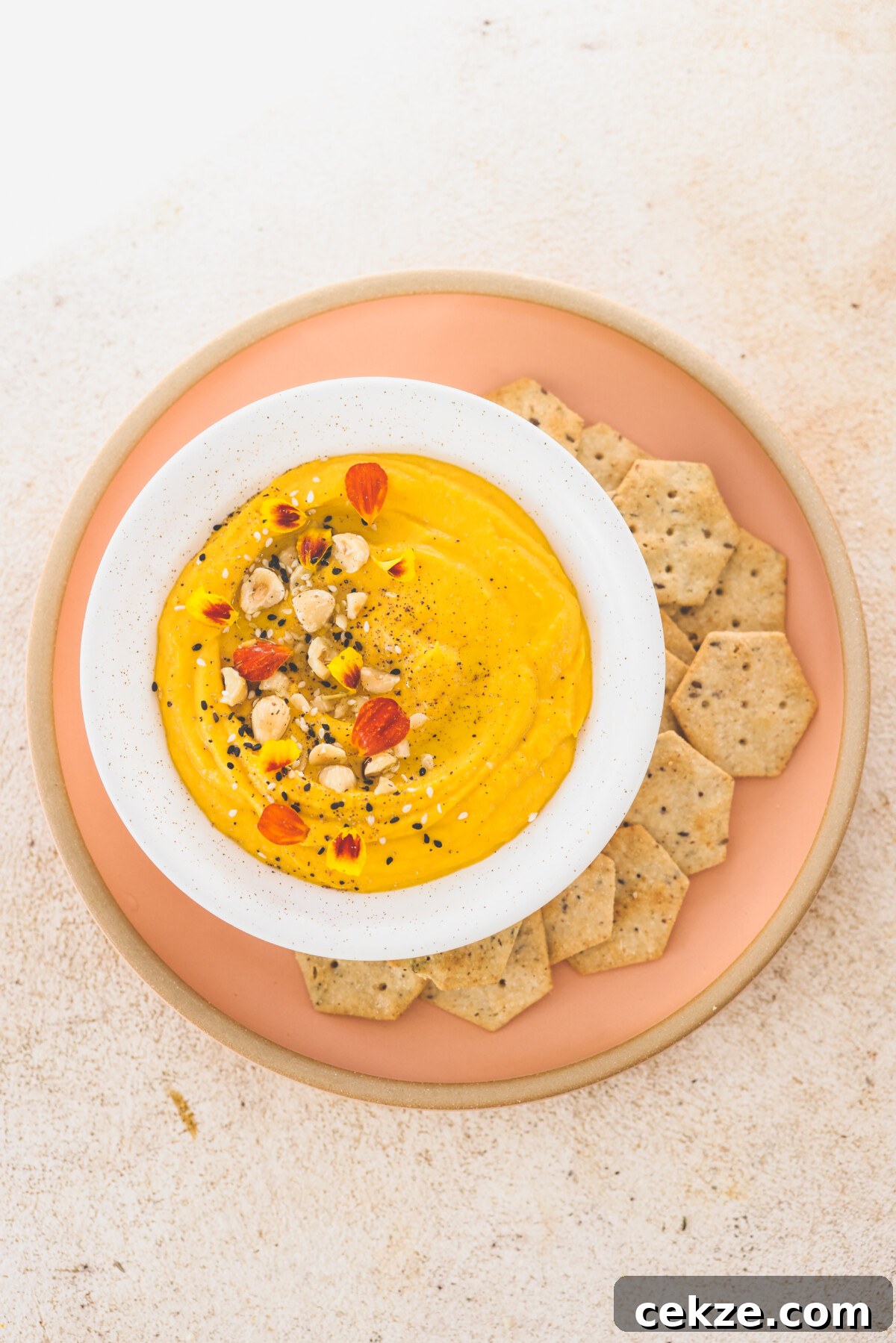 Roasted Butternut Squash Dip Recipe with Garlic and Herbs 4 an overhead shot of butternut squash dip surrounded by crackers