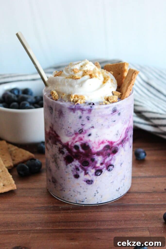 Blueberry cheesecake overnight oats topped with whipped cream and graham crackers.