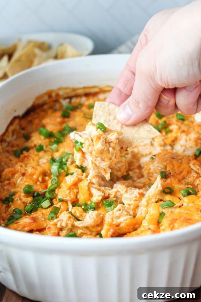 A close up shot of a chip being dipped into high protein buffalo chicken dip.