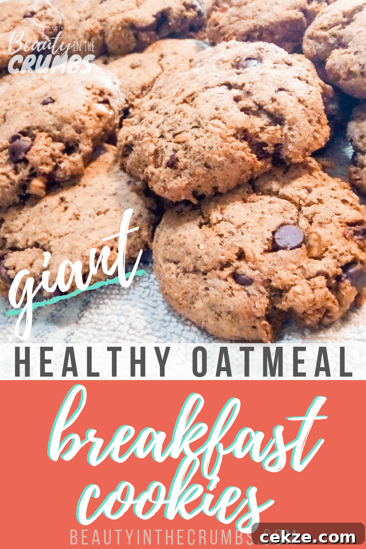 I need a quick and filling breakfast. These breakfast cookies are just that! They're made with soaked oatmeal and are a healthy way to start your day! These breakfast cookies are also gluten free, dairy free, and vegan.   #easybreakfast #glutenfreebreakfast #glutenfreebreakfastcookies #veganbreakfast #dairyfreebreakfast