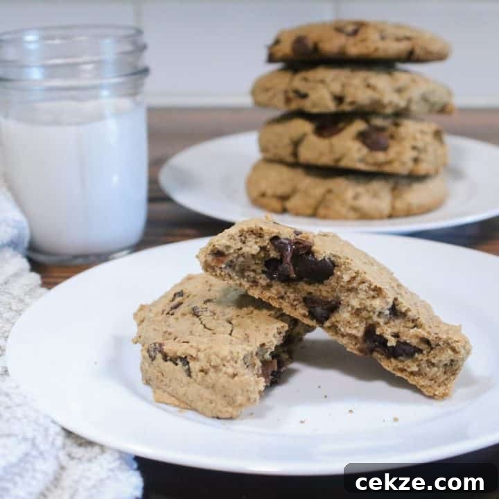 healthy breakfast cookie recipe